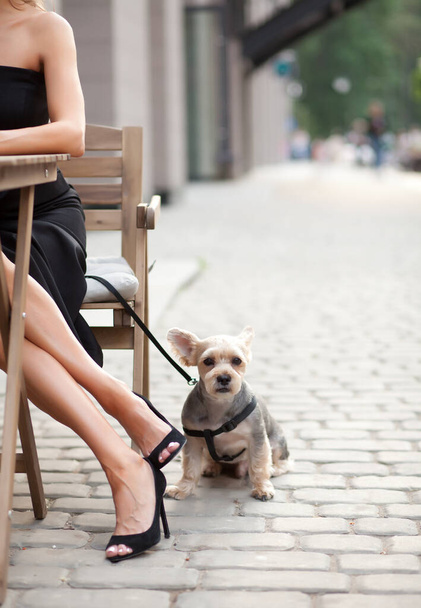 Beautiful woman sitting in outdoor cafe with pet animal small dog - Fotoğraf, Görsel
