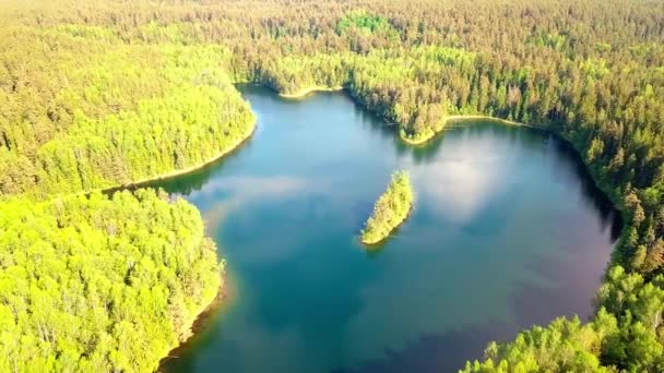 szív alakú tó az erdőben. drón lövés a természetes csoda természetes környezetben - Felvétel, videó