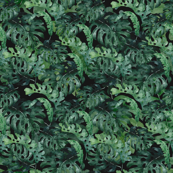 Tropical pattern with jungle leaves, palm tree. Exotic leaves illustrations horizontal frame, jungle tree on white background - Valokuva, kuva