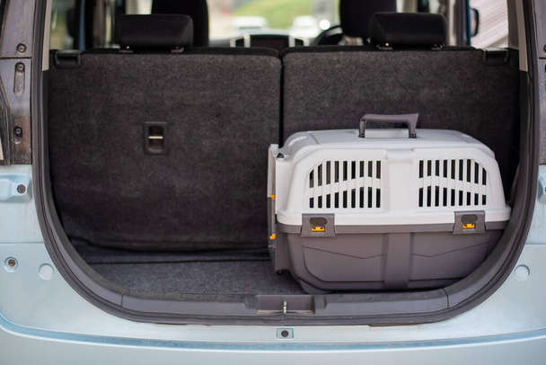 Jack russell terrier dog sits in a travel box in the trunk of a car. Traveling with a pet - 写真・画像