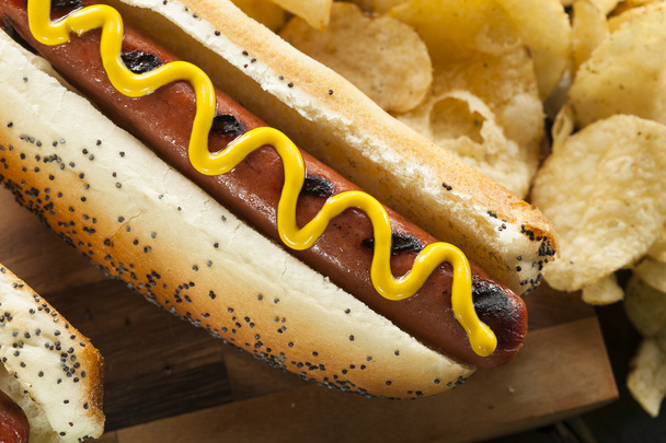 Gourmet Grilled All Beef Hots Dogs - Foto, afbeelding