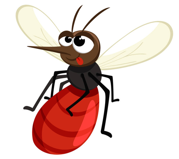 The mosquito has drunk blood and flies on a white background. The character - Vector, Image