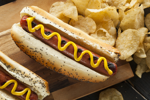Gourmet Grilled All Beef Hots Dogs - Foto, Imagem