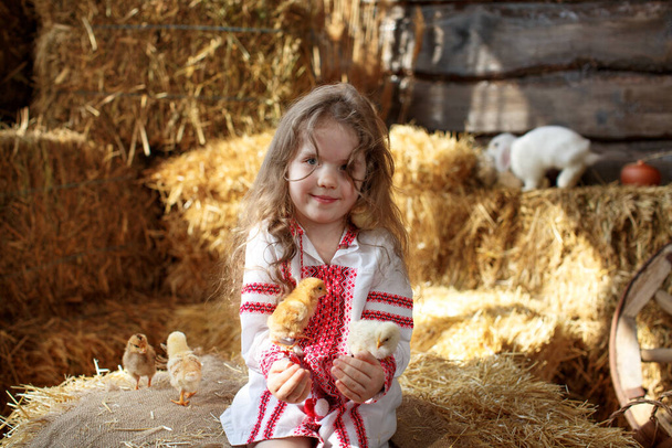 Linda niña hermosa en camisa bordada ucraniana en fardos de paja con pollos y un conejo blanco - Foto, imagen