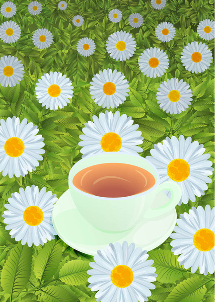 Chamomile field cup with drink, vector illustration EPS 10 - ベクター画像