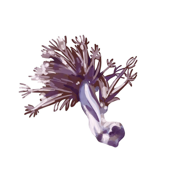 Récif corallien. Polypes de couleurs différentes. Illustration aquarelle dessinée à la main sur fond blanc - Photo, image