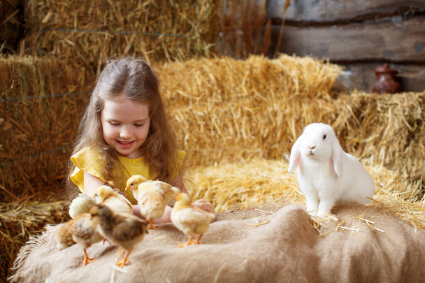 Dziewczynka w żółtej sukience w wielkanocnych dekoracjach na słomkowych belach bawi się białym królikiem i kurczakami - Zdjęcie, obraz