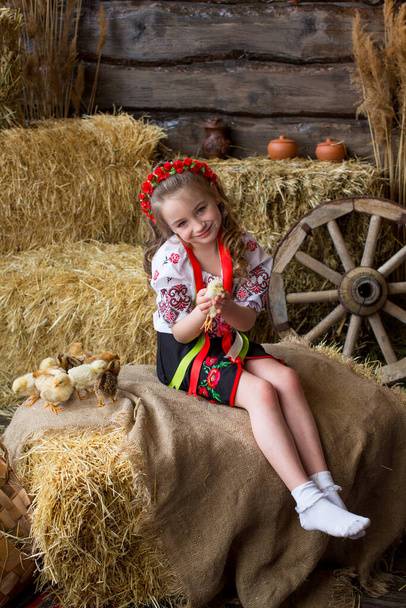 Дівчина в українському народному костюмі грає з курчатами в тюках соломи. Щасливого Великодня - Фото, зображення