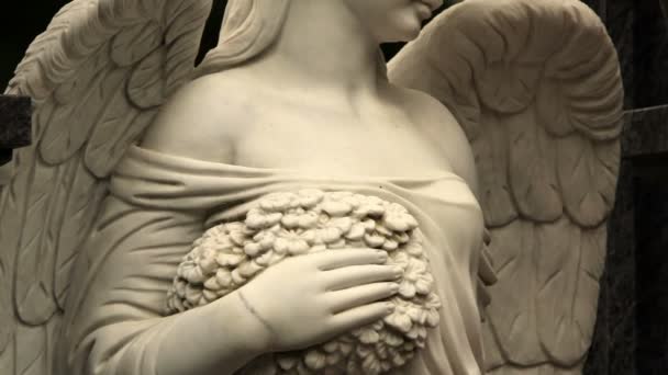 ángel alado en disfraz femenino panorama hasta - Metraje, vídeo
