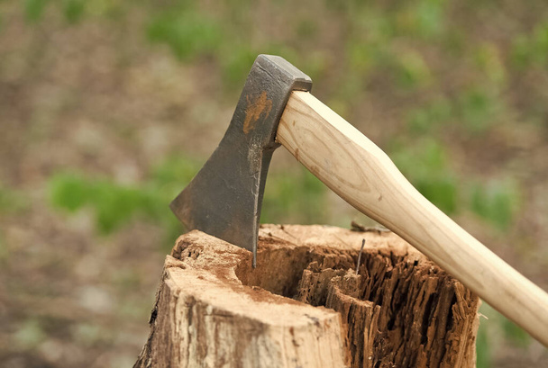 Large splitting axe with sharp metal head and wooden handle in stump on natural landscape outdoors, tool - Foto, afbeelding