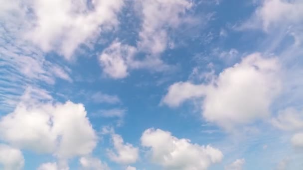 Время Лапс Голубое небо Белые облака в хорошую погоду день облака Timelapse Летнее голубое небо кадры Белые облака течет в голубом небе Природа фон Концепция природы и окружающей среды фон - Кадры, видео