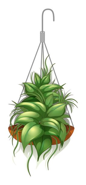 Висячий горшок с зеленым растением
 - Вектор,изображение