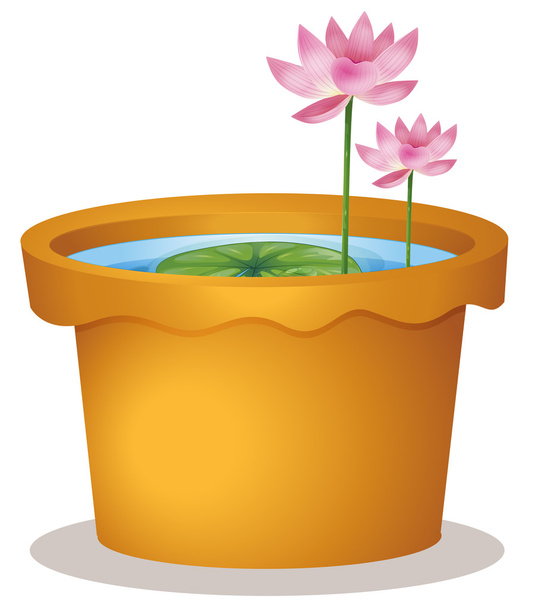 A pot tavirózsa és lótusz virággal - Vektor, kép