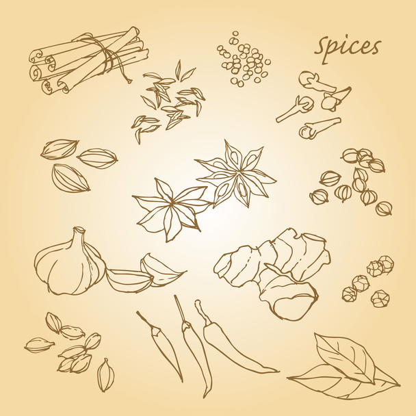 Spices doodles - Вектор,изображение