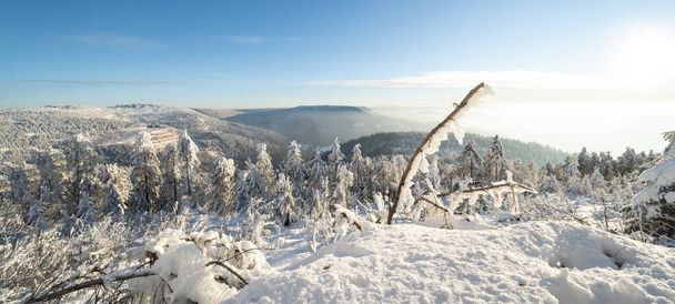Kara Orman Almanya 'da kış mevsiminde karlı ve donmuş kar manzarasının göz kamaştırıcı arka plan manzarası - Fotoğraf, Görsel