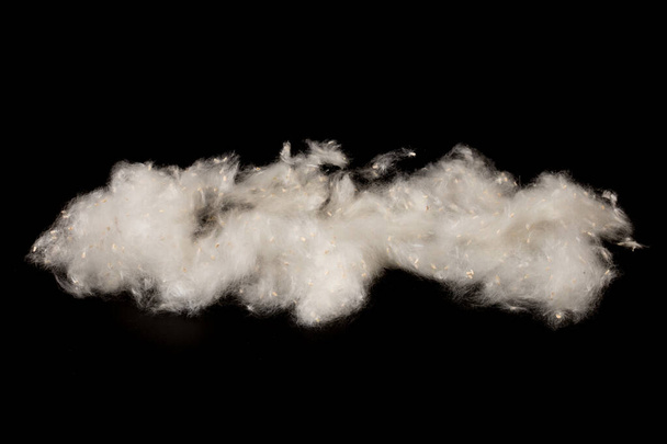 Fluff of poplar trees close-up on black background. Allergy to poplar seeds.  - Photo, Image