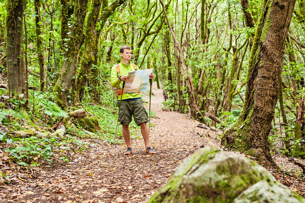 wandelaar trekking met kaart in bos - Foto, afbeelding