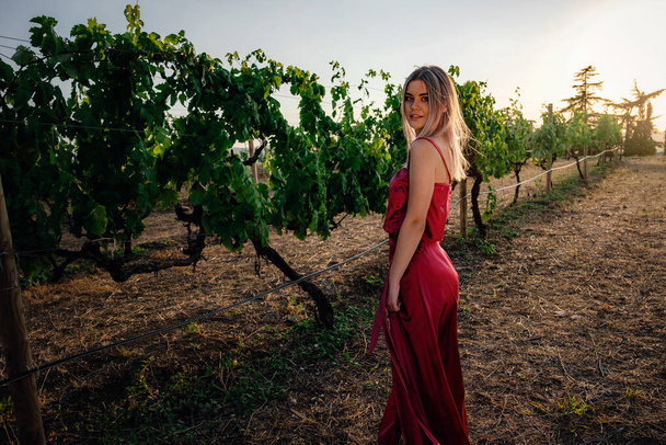 Портрет молодої красивої леді в червоній сукні в виноградниках в літній сезон. насолоджуючись дегустаційним туром у чудовому виноробному регіоні
. - Фото, зображення