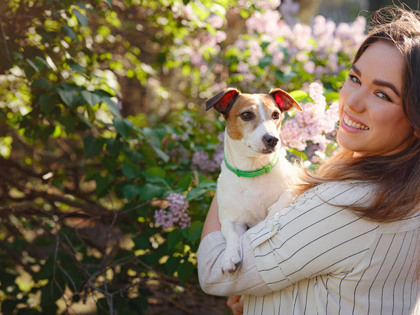 Young woman with her cute Jack Russell Terrier outdoor. Lovely pet. A hugging against a background of blooming lilac bushes - Photo, Image