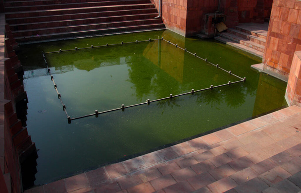 un estanque verde bellamente elaborado - Foto, Imagen