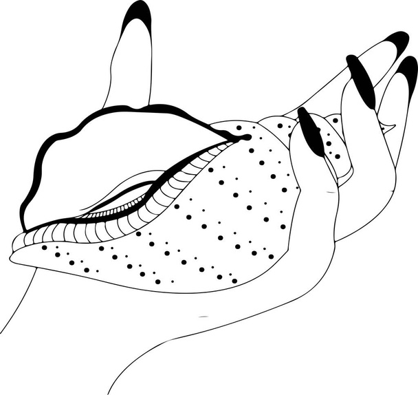 ilustración de una mano femenina sosteniendo una concha marina - Vector, imagen