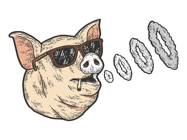 The pig smokes and blows smoke rings. Sketch scratch board imitation color. - Vector, Image