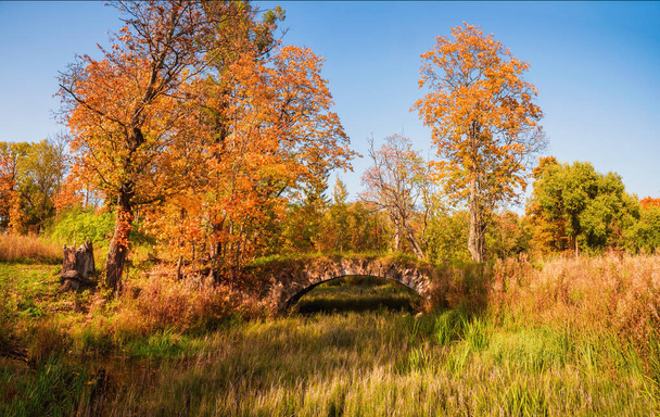 Sanny panoramic view of Demidovsky Park in autumn and the old stone bridge in the village of Taitsy, Russia. - Photo, Image