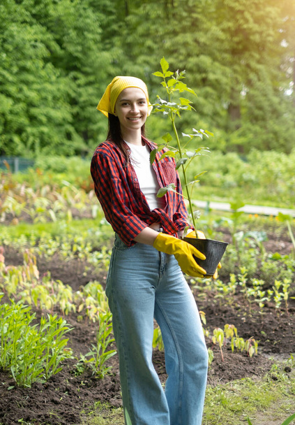 A smiling young female agricultural worker holds young saplings in her hands. a girl in yellow gloves, shirt and jeans on the background of a plantation. The concept of natural gardening - Foto, imagen