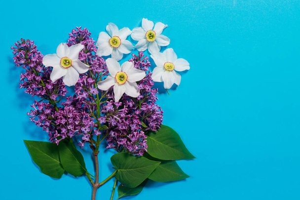 Beautiful branch lilac and daffodil flowers on a blue background for a postcard or a spring sale. Place for copy space text. - Photo, Image