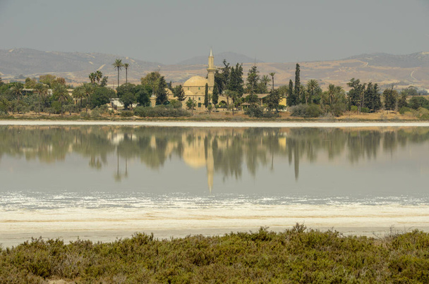 Комары Хала Султан Текке на соленом озере Ларнака на Кипре - Фото, изображение