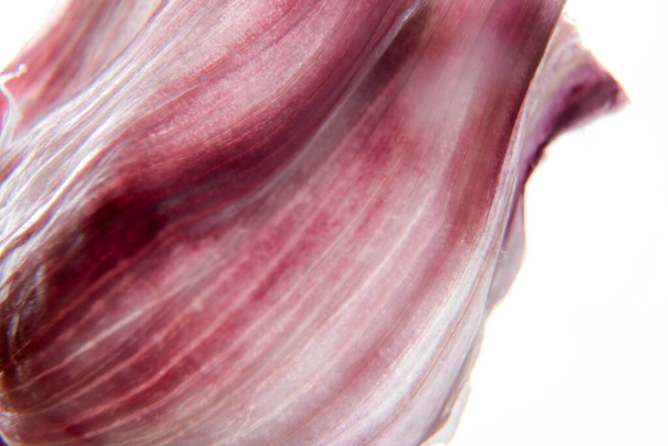 macro photo of purple garlic peel - Foto, afbeelding