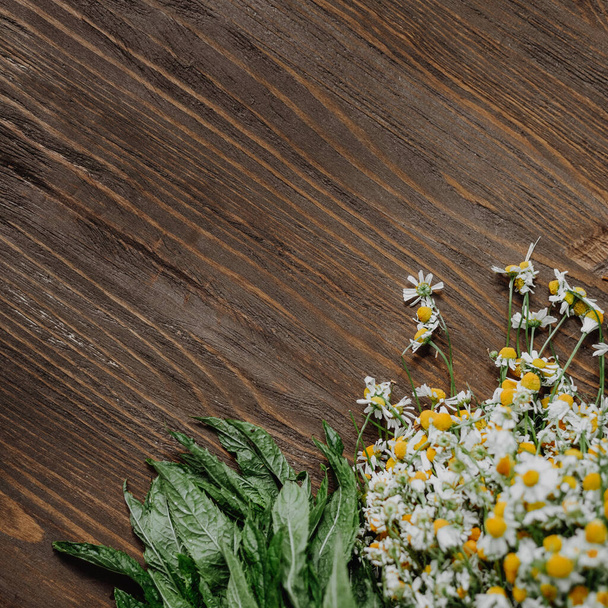Wooden background with herbs - Foto, Imagen
