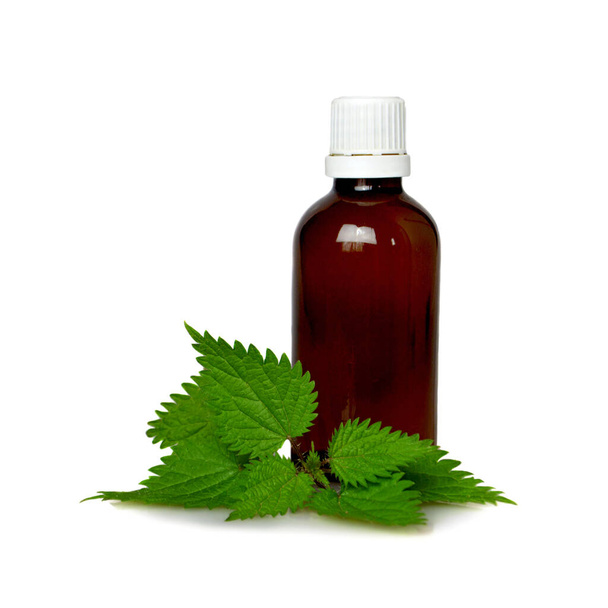 Stinging nettle essential oil or tincture in a bottle isolated on white background - Foto, immagini