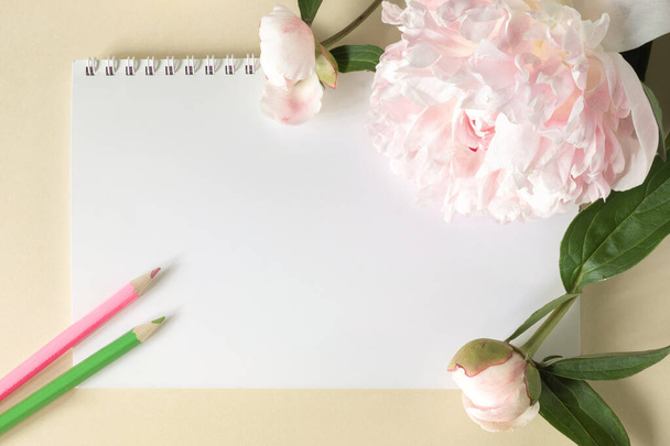 Spring-loaded notebook and colored pencils, large beige flowers and peony buds on beige background. Top view. Copy space - Фото, зображення