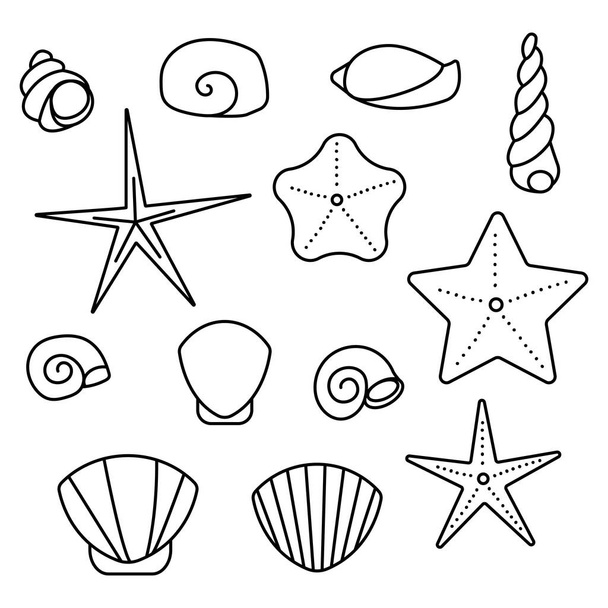 Conjunto de moluscos de conchas marinas. Conchas marinas de arena oceánica. icono de línea vectorial. Un derrame cerebral. Estilo Doodle - Vector, imagen