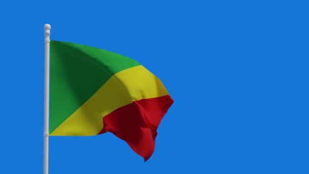 Государственный флаг Центральноафриканской Республики, размахивающий ветром. 3D рендеринг, CGI анимация. Видео в разрешении 4К. - Кадры, видео