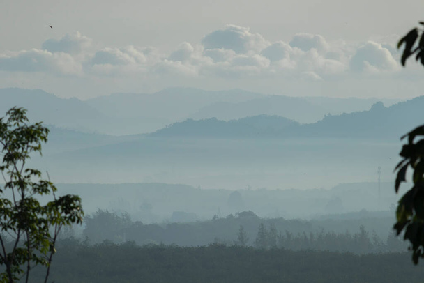 Les arbres sont brumeux le matin avec un fond montagneux et des nuages blancs. Est une vue d'une hauteur - Photo, image