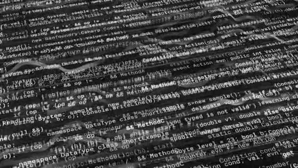 Black and white background from program text. Animation. Program solid text with changing characters on black background. Programming with text codes and ciphers - Footage, Video