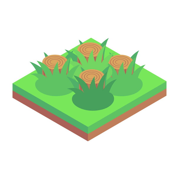 isometric vector illustration of grass - Vector, Image