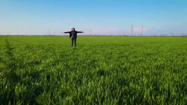 Vrije gelukkige vrouw met uitgestrekte armen genietend van de natuur en staand in groot groen veld met gewassen bij zonsondergang slow motion - Video