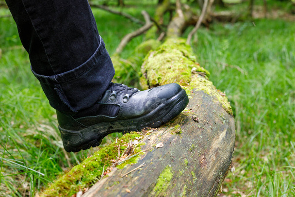 Düşen yosunlu bir ağacın üzerinde yürüyüş ayakkabısı, aktif dinlenme konsepti.  - Fotoğraf, Görsel