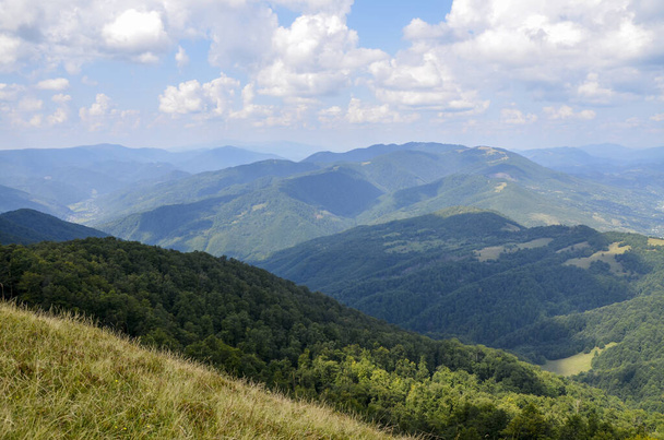 Vista panoramica dei pittoreschi Carpazi paesaggio con pendii boschivi, catene montuose e cime. Vacanze in montagna. - Foto, immagini