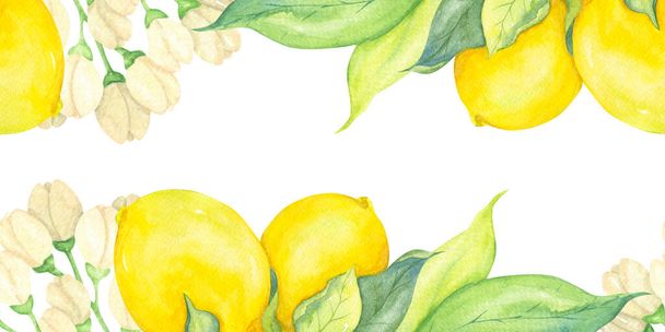 Watercolor yellow lemons, flowers and green leaves. Sun citrus seamless border. Botanical drawing on a white background. - Fotoğraf, Görsel