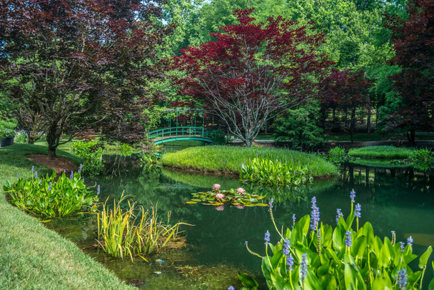 Ball Ground, Georgia USA - June 8, 2018  A beautiful water garden with a bridge crossing over the pond filled with waterlilies and other aquatic plants in bloom on a bright sunny day in summer at Gibbs gardens in north Georgia - Foto, afbeelding