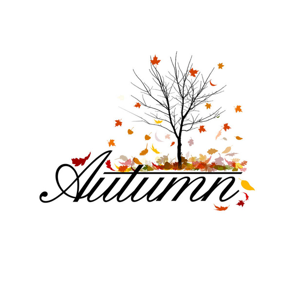 Голое дерево - осень с опавшими листьями. Векторная иллюстрация - Вектор,изображение