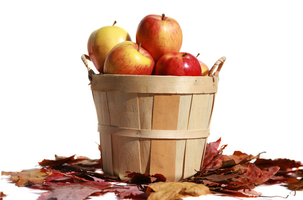 Taze toplanmış elmalar. Bir sepet dolusu olgun elma. Elma hasatı Sonbahar konsepti. Taze elmalar. Elmalar. Bir sürü elma. Elma yaprakları. Elma ağacından taze toplanmış elmalar. Sepette olgun bir bahçe elması. Beyazda izole edilmiş. Metin için yer.  - Fotoğraf, Görsel