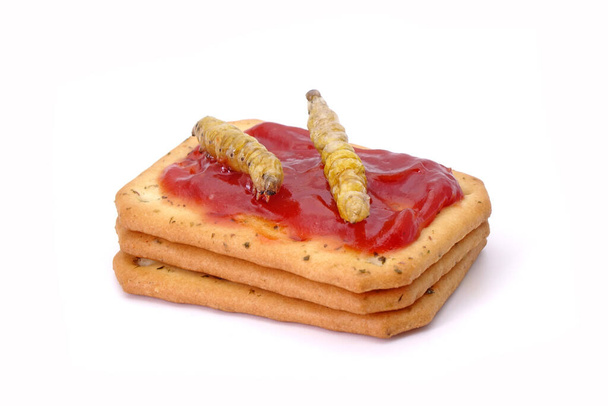 Biscuits topping with Crispy eatable insects : Bamboo caterpillar. Ideas for celebrate Halloween party. Edible insects, other natural sources of nutrients. Exotic food,fusion food.Entomophagy.Isolated - Foto, Imagem