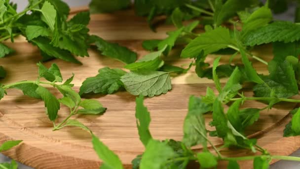 green fresh mint leaves on a wooden cutting board, hand tearing leaves from the stem, close up - Materiał filmowy, wideo