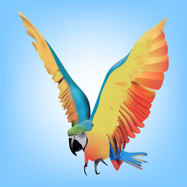 Illustration eines fliegenden Papageien - Vektor, Bild