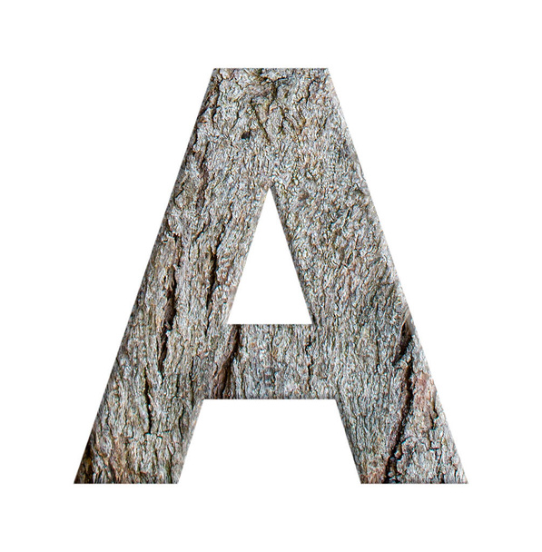 alphabets from bark tree isolated on white background : Letter A - Foto, Bild